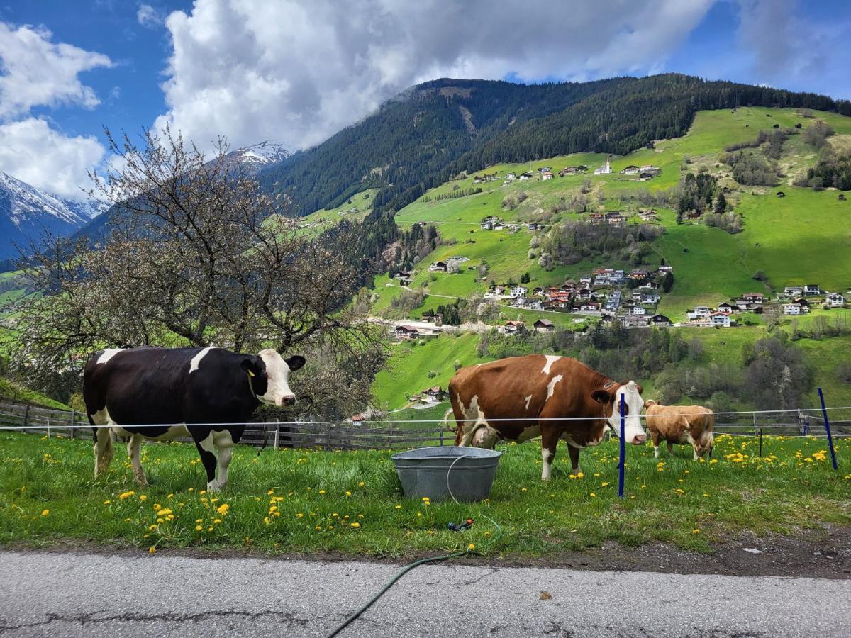 Bergbauernhof-Grinzens Lägenhet Exteriör bild