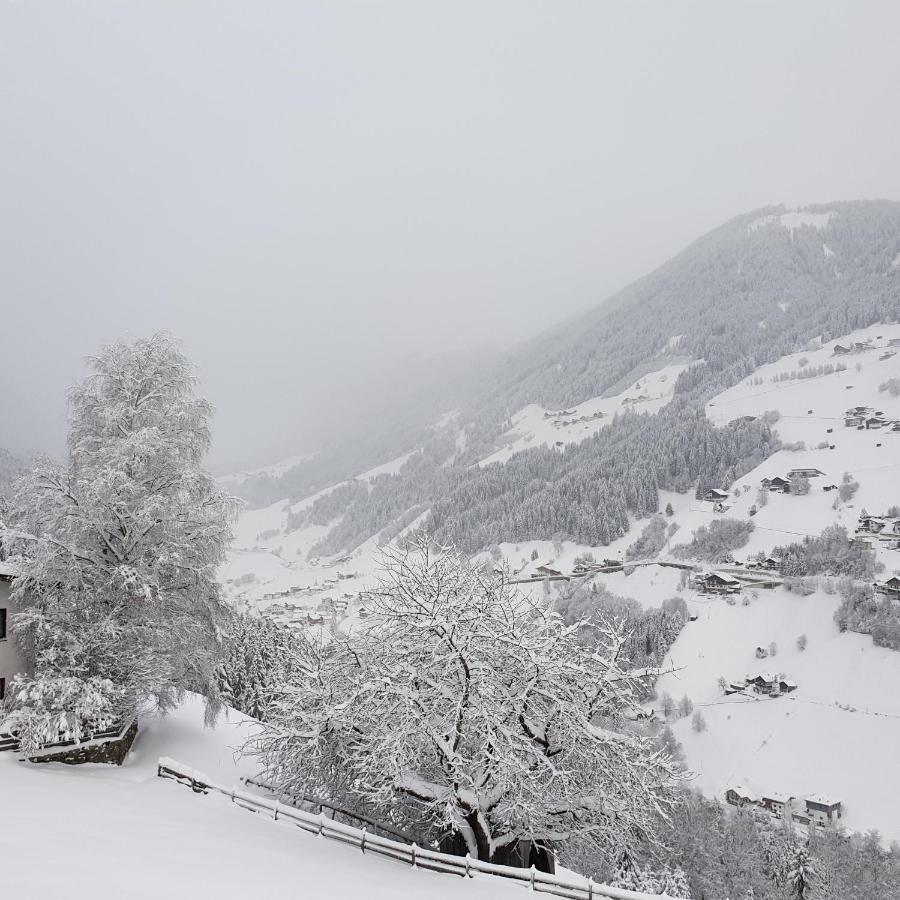 Bergbauernhof-Grinzens Lägenhet Exteriör bild