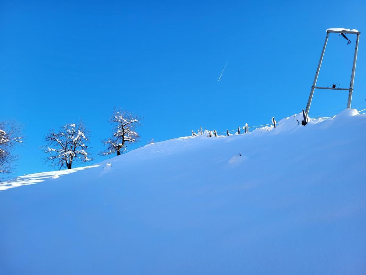 Bergbauernhof-Grinzens Lägenhet Exteriör bild